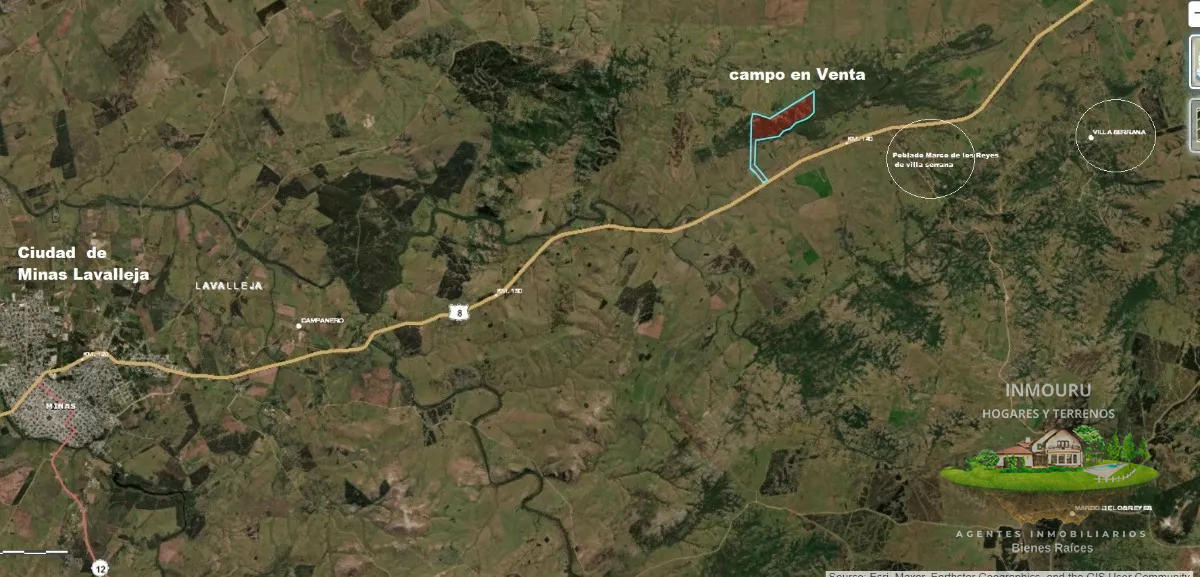 Campo Ref.730 - Se vende campo de 80hás, Marco de los Reyes, Lavalleja