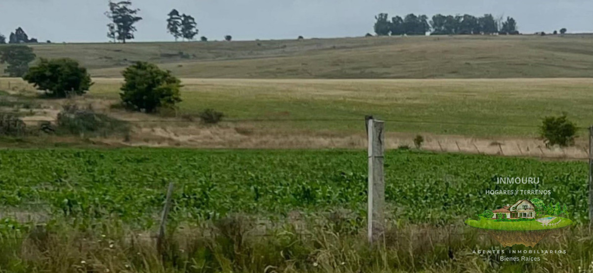 Campo Ref.1550 - Venta de campos en Paraje La Pedrera