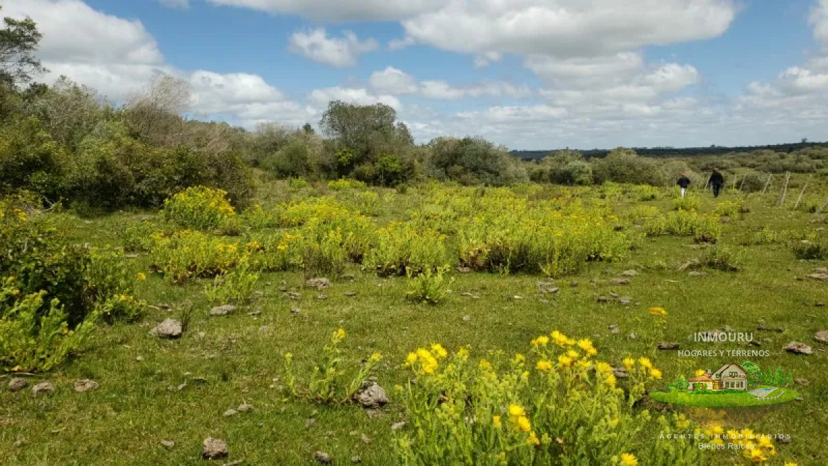 Campo Ref.839 - VENTA de campo en LAVALLEJA (Minas)