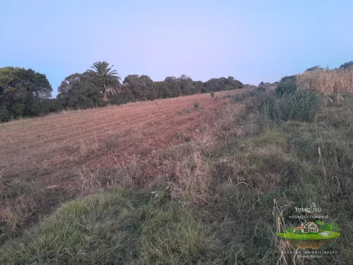 Campo Ref.488 - Venta de campo 4 y un cuarto de hectáreas en paso de la arena 