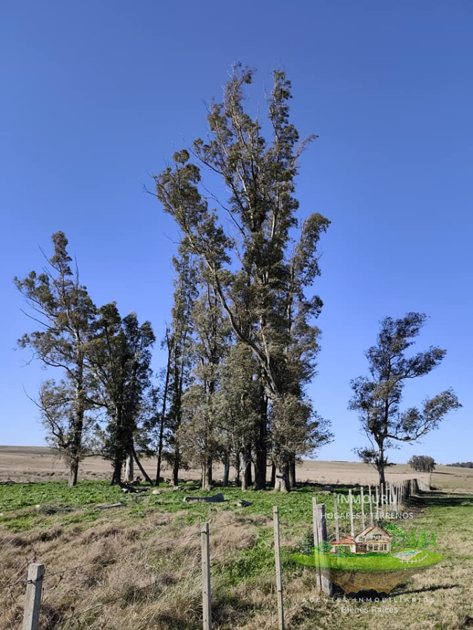 Campo Ref.1834 - Venta de Campo en Casupá