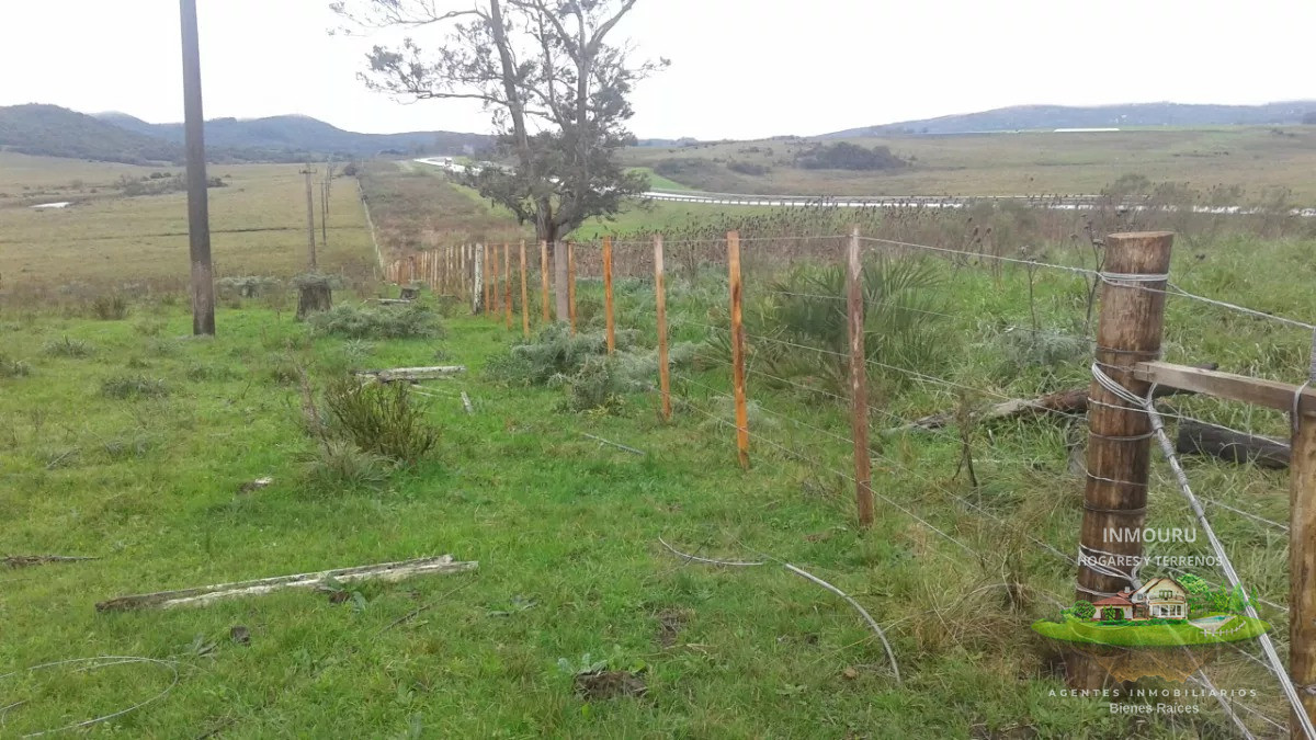 Campo Ref.730 - Se vende campo de 80hás, Marco de los Reyes, Lavalleja
