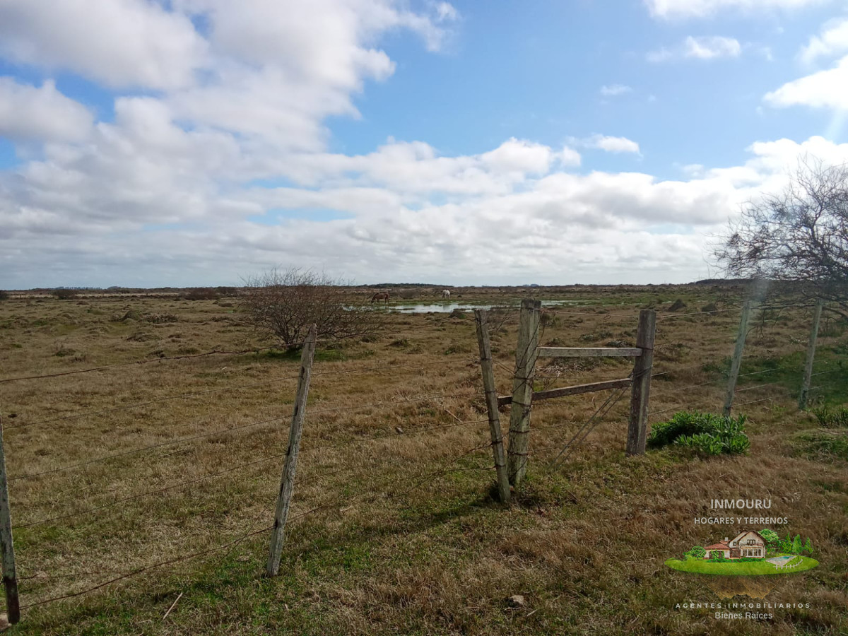 Campo Ref.1548 - Venta de Campo en Villa Passano