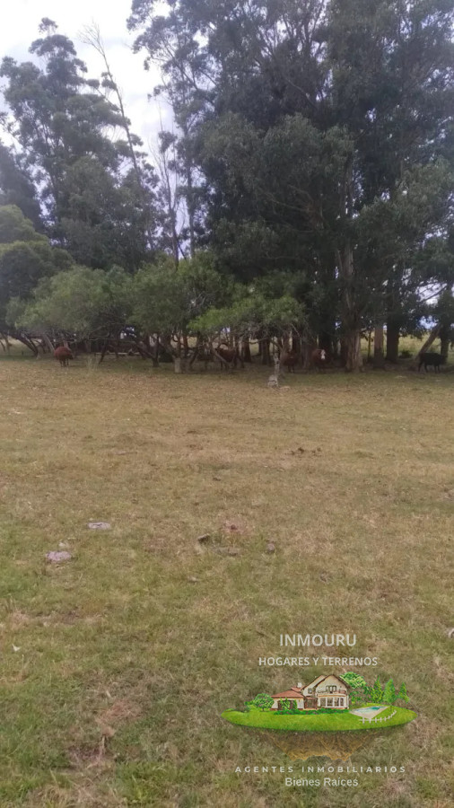 Campo Ref.1764 - VENTA de CAMPO de 34,5 ha en MALDONADO
