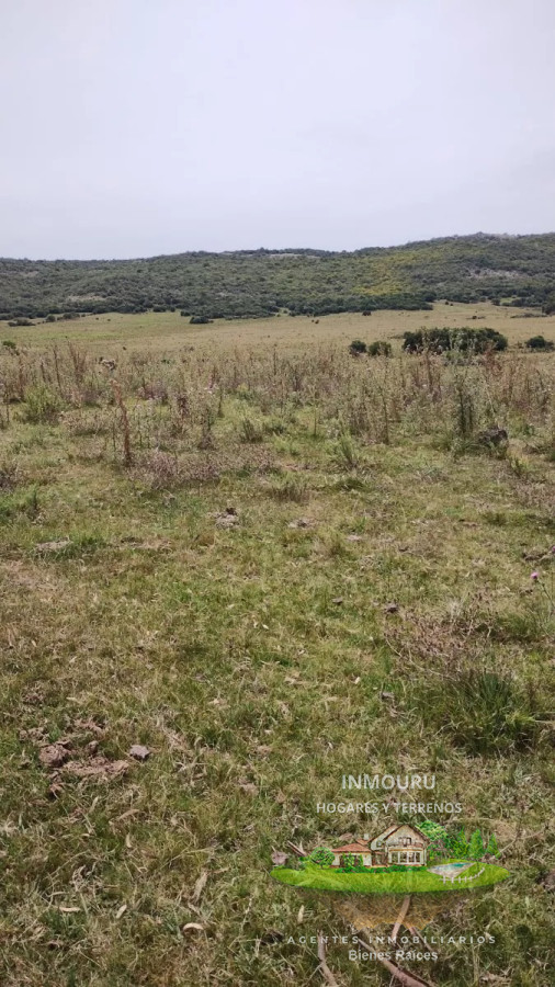 Campo Ref.730 - Se vende campo de 80hás, Marco de los Reyes, Lavalleja