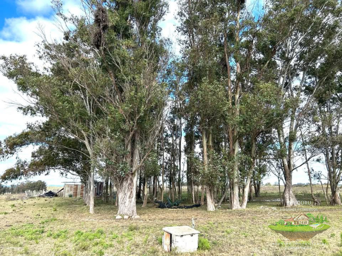Campo Ref.1905 - Venta campo en Minas