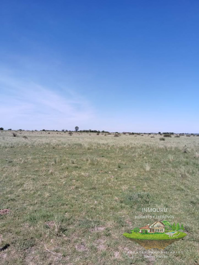 Campo Ref.2150 - VENTA de campo de 250 hectáreas en CANELONES
