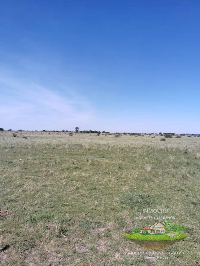 Campo Ref.2150 - VENTA de campo de 250 hectáreas en CANELONES