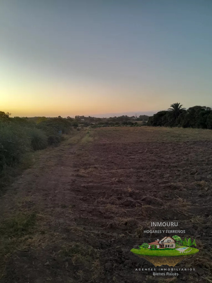 Campo Ref.488 - Venta de campo 4 y un cuarto de hectáreas en paso de la arena 