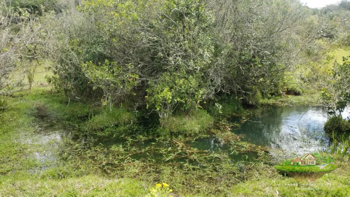 Campo Ref.839 - VENTA de campo en LAVALLEJA (Minas)