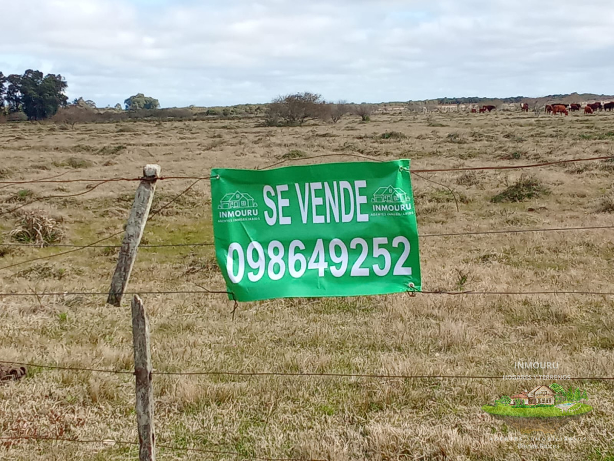 Campo Ref.1548 - Venta de Campo en Villa Passano