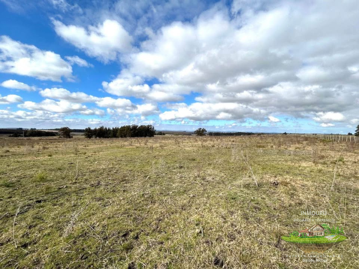 Campo Ref.1905 - Venta campo en Minas