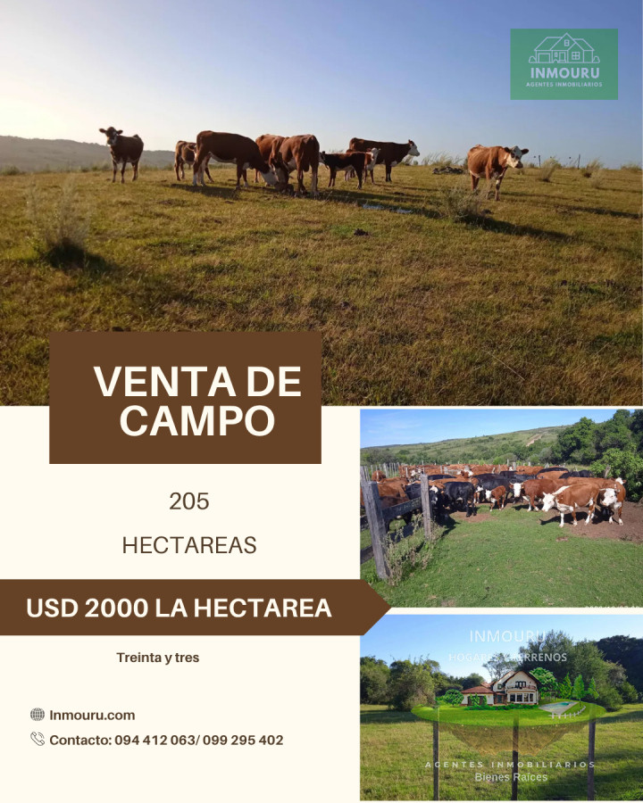 Campo Ref.1525 - VENTA de campo ubicado en TREINTA Y TRES