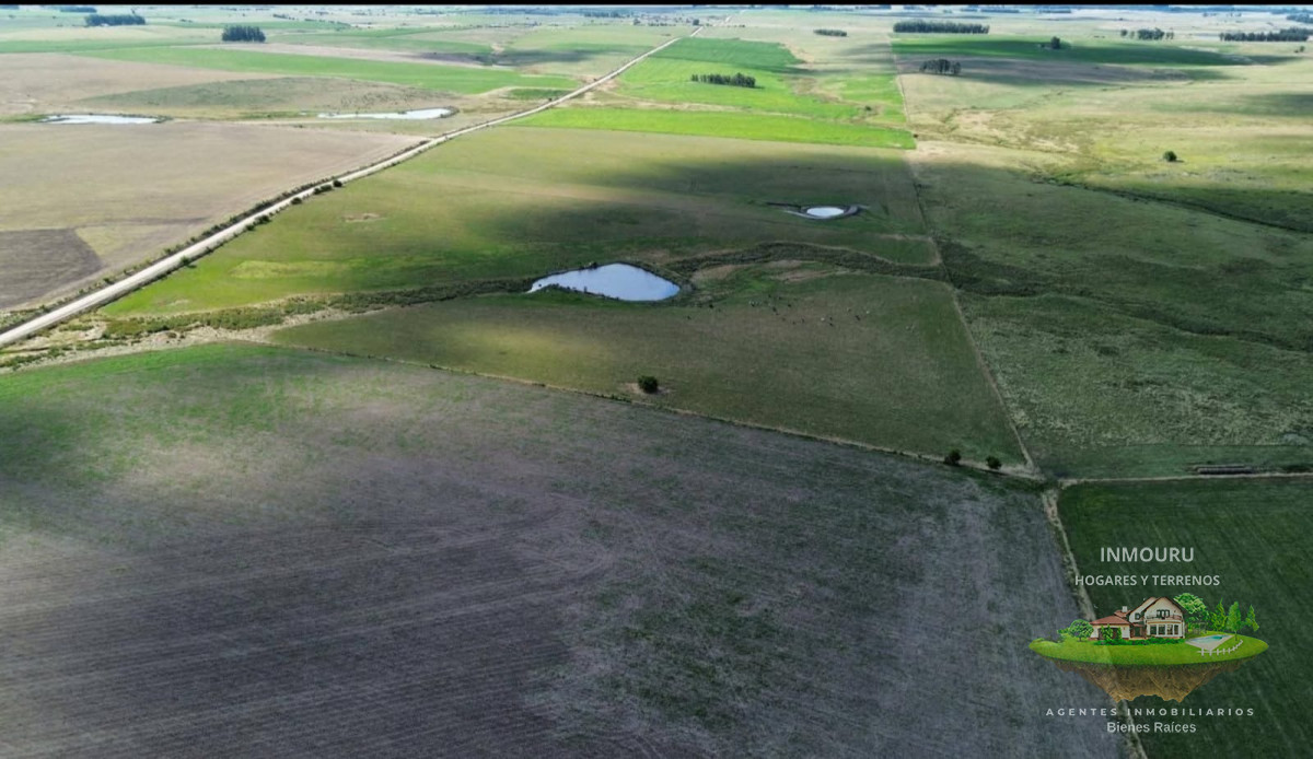 Campo Ref.1550 - Venta de campos en Paraje La Pedrera