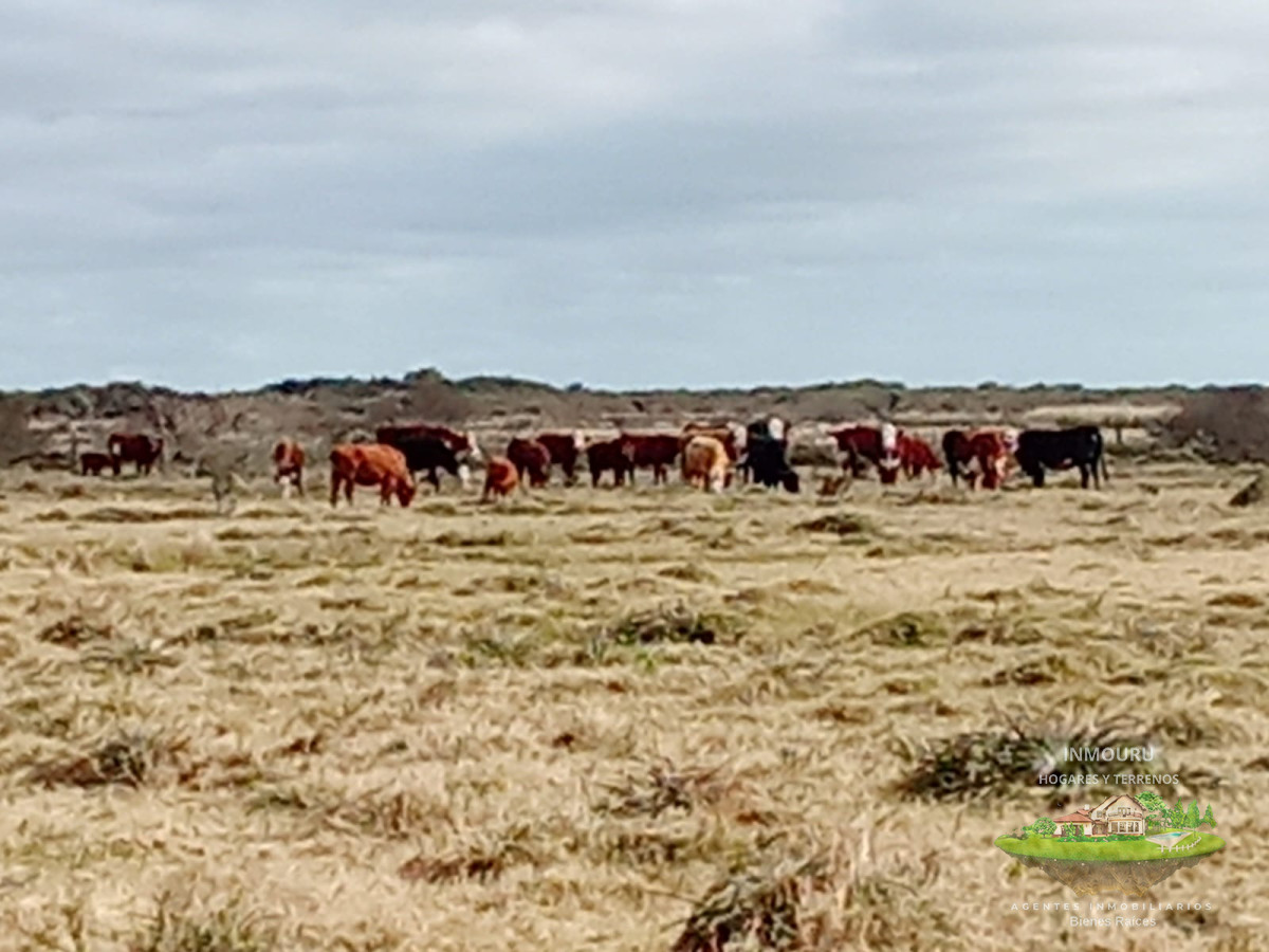 Campo Ref.1548 - Venta de Campo en Villa Passano