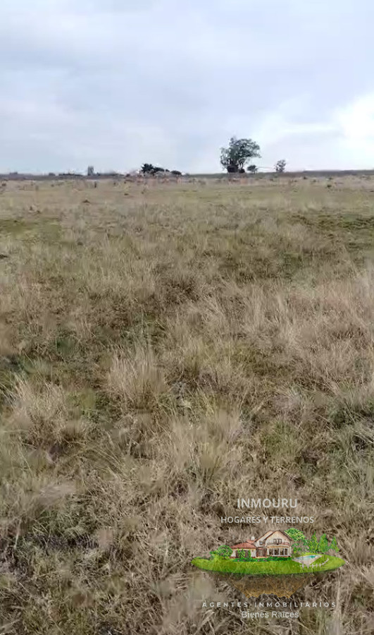 Campo Ref.1995 - Venta de Campo cerca de Piedritas