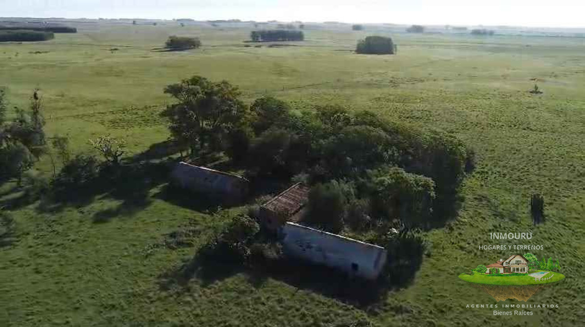 Campo Ref.2613 - Venta de campo en Florida Precio en dólares