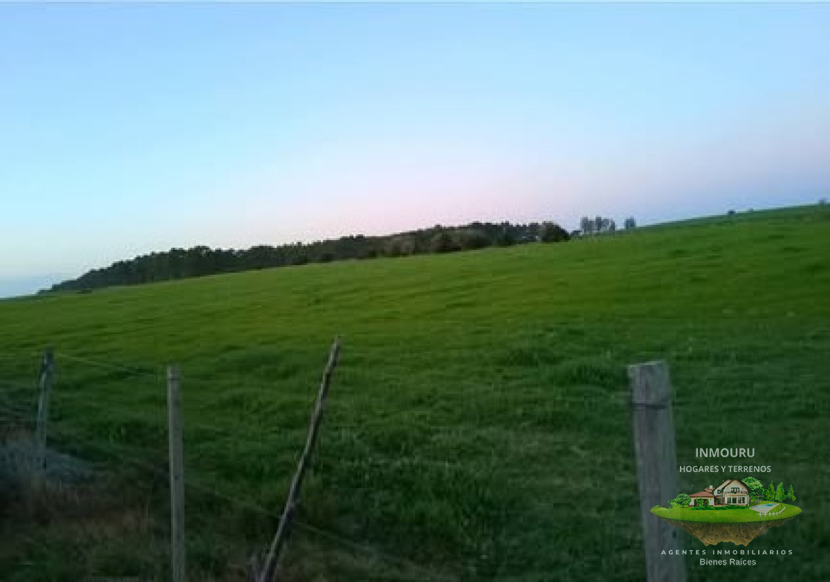 Campo Ref.1996 - Venta de campo de 70 hectareas