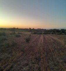 Venta de campo 4 y un cuarto de hectáreas en paso de la arena