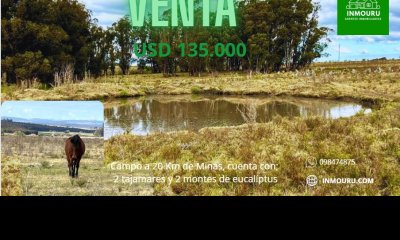 Venta campo en Minas