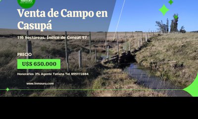 Venta de Campo en Casupá