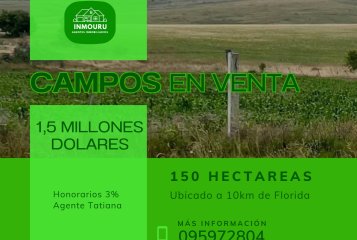 Venta de campos en Paraje La Pedrera
