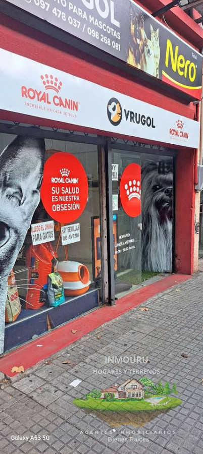 Local Comercial ID.1042 - Venta de llave de Pet Shop en Tres Cruces 