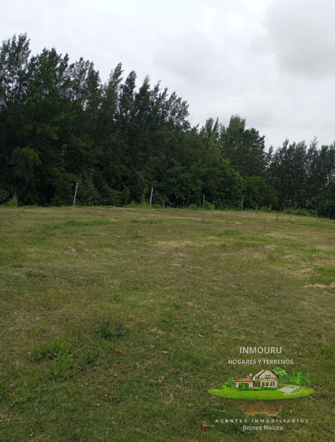 Terreno ID.2387 - SE VENDE CASA EN ZONA CANELONES EN COLONIA NICOLICH