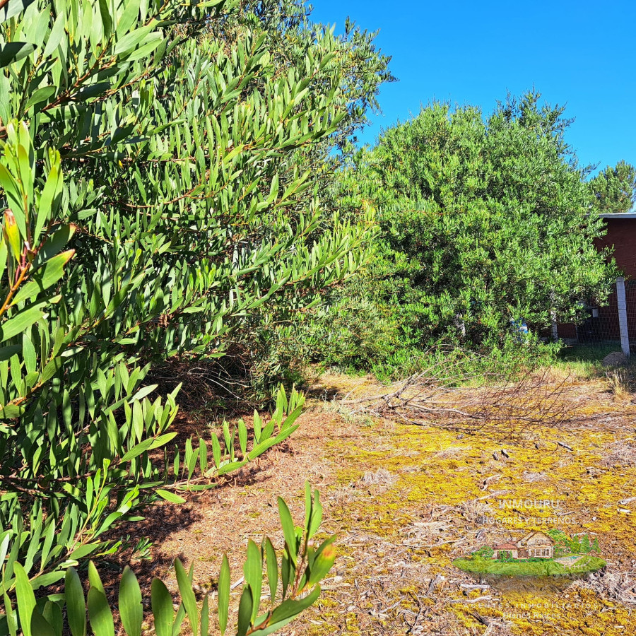 Terreno ID.1833 - Venta de Terreno en Balneario Aegetino