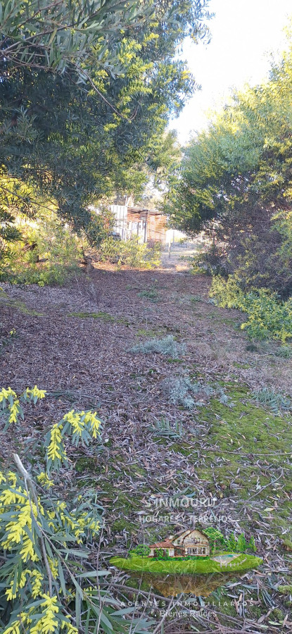 Terreno ID.1833 - Venta de Terreno en Balneario Aegetino