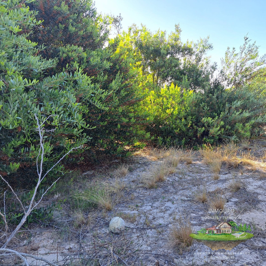 Terreno ID.1833 - Venta de Terreno en Balneario Aegetino
