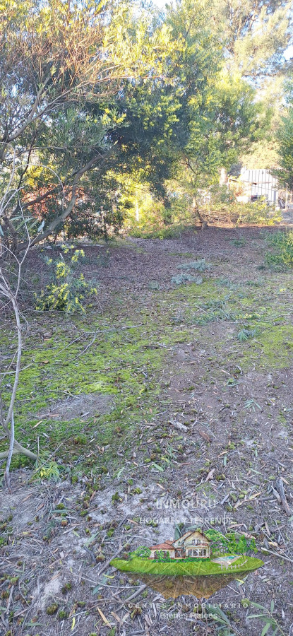 Terreno ID.1833 - Venta de Terreno en Balneario Aegetino