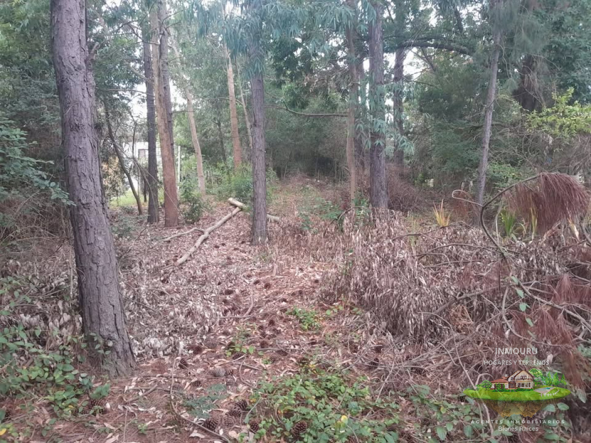 Terreno ID.880 - Venta terreno en Playa Verde Piriapolis 