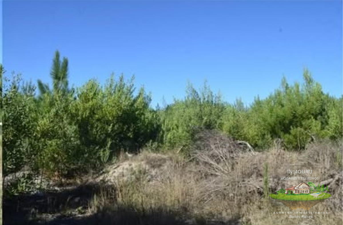 Terreno ID.845 - Venta de terreno en Bello Horizonte 