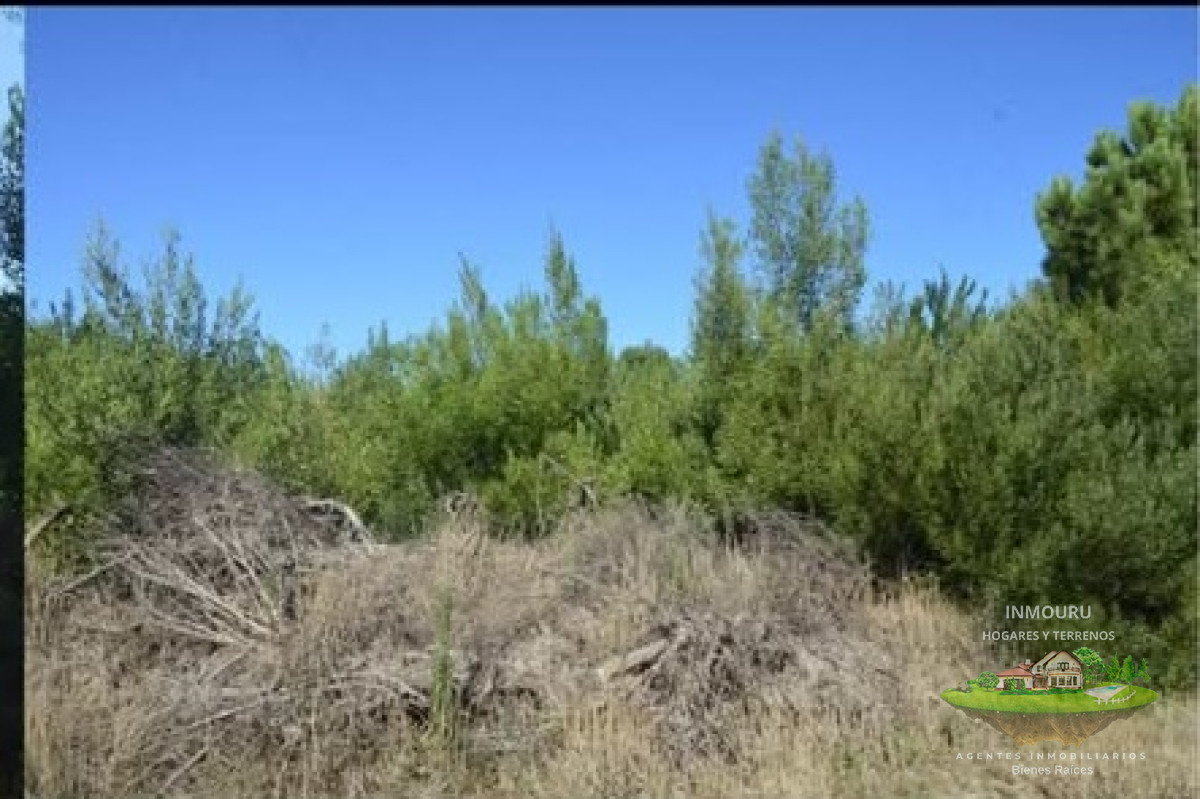 Terreno ID.845 - Venta de terreno en Bello Horizonte 