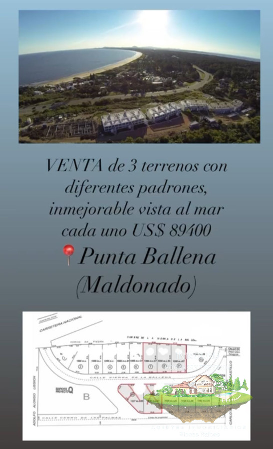 Terreno ID.844 - VENTA de 3 terrenos con padrones independientes en PUNTA BALLENA (Maldonado)