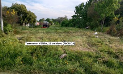 TERRENO en VENTA ubicado en 25 de mayo (FLORIDA)