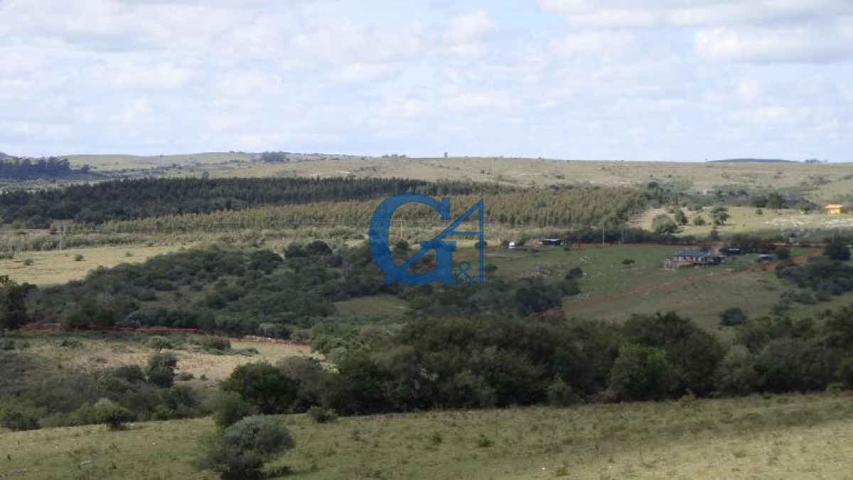 Chacra ID.1234 - El Paraíso encontrado.