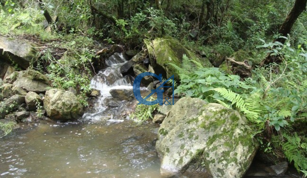 Chacra ID.1234 - El Paraíso encontrado.