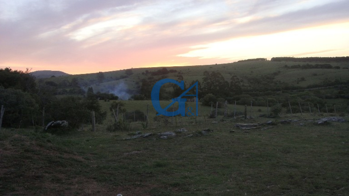 Chacra ID.1234 - El Paraíso encontrado.