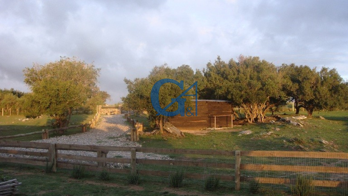 Chacra ID.1234 - El Paraíso encontrado.