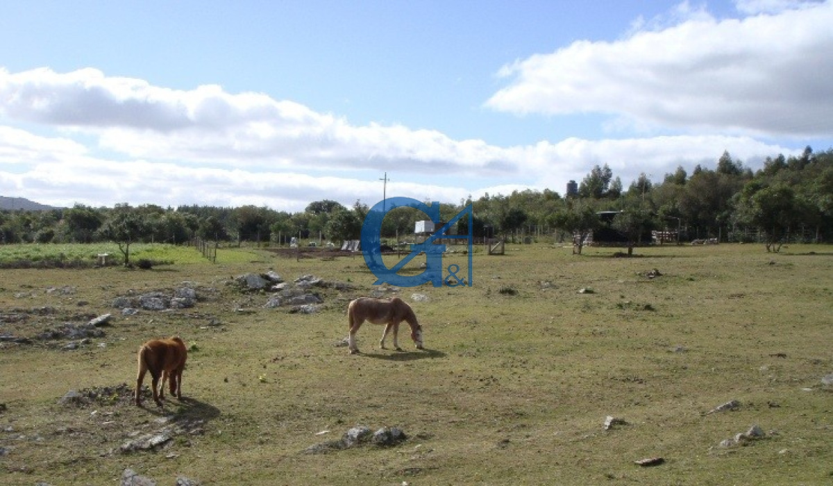Chacra ID.1234 - El Paraíso encontrado.