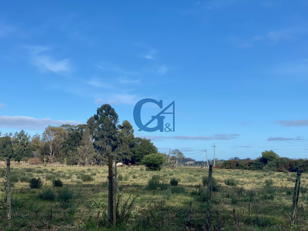 Chacra ID.2070 - 
