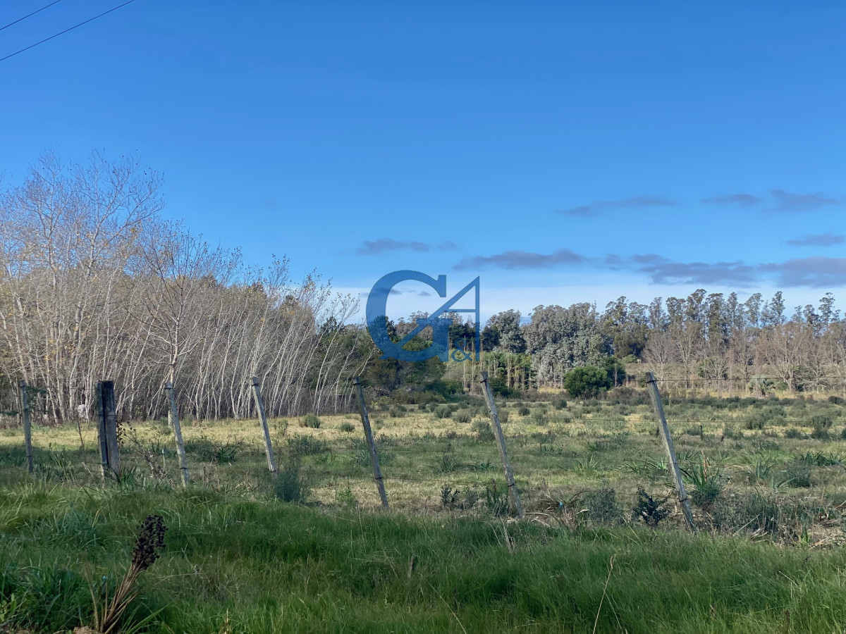 Chacra ID.2070 - 