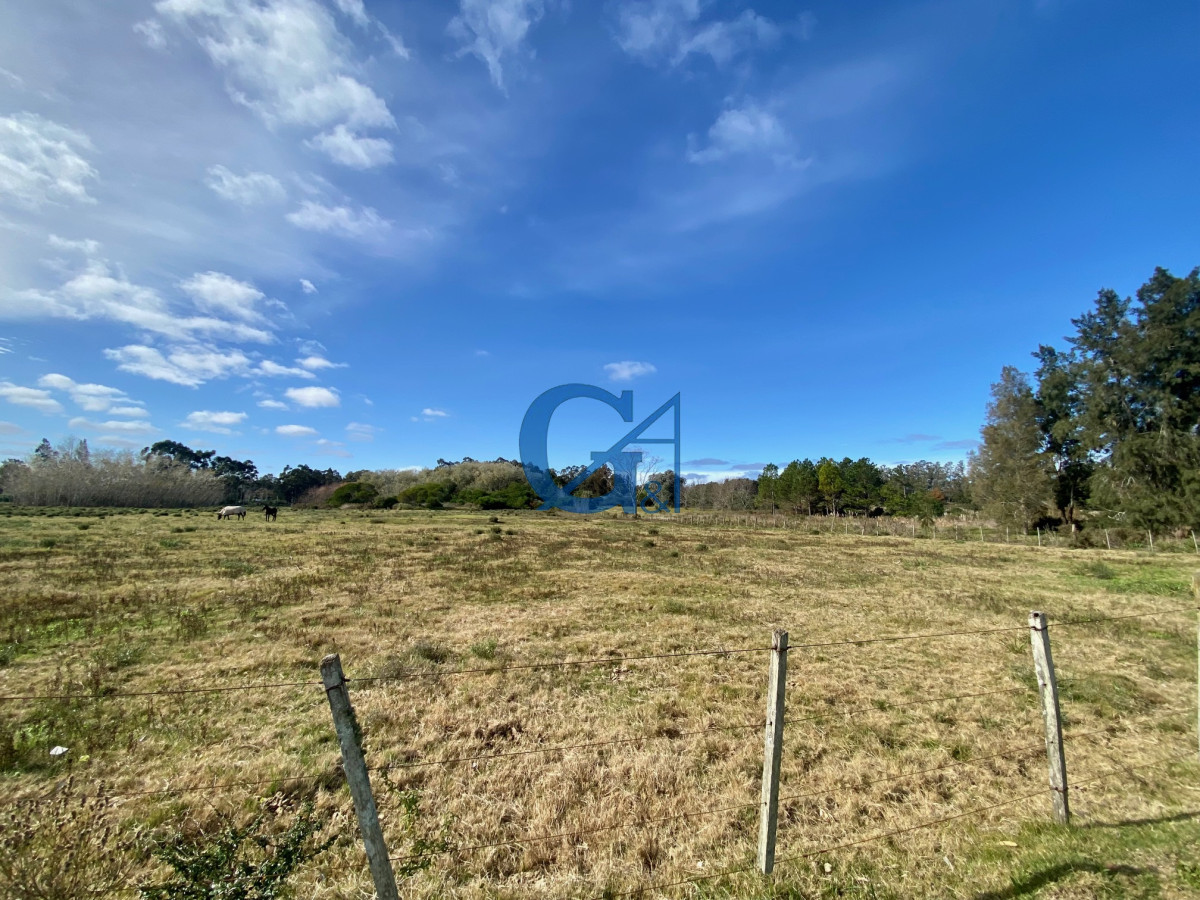 Chacra ID.2070 - 