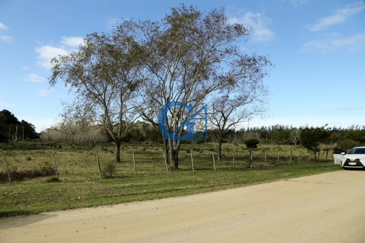 Chacra ID.2070 - 
