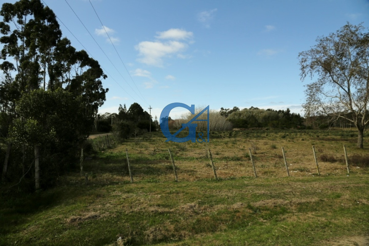 Chacra ID.2070 - 