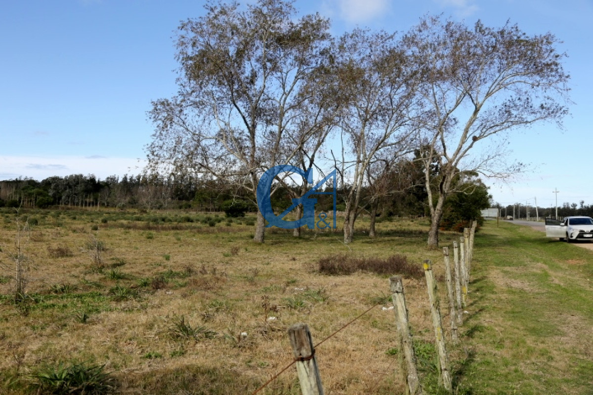 Chacra ID.2070 - 