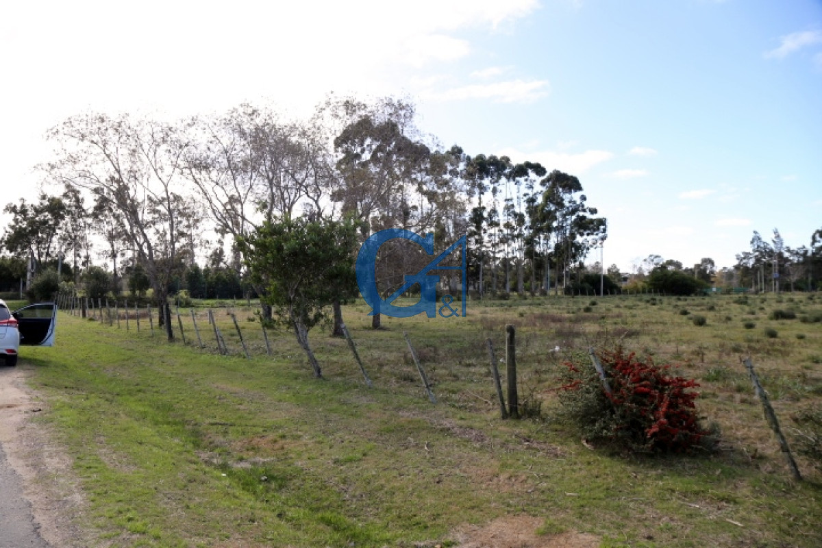 Chacra ID.2070 - 