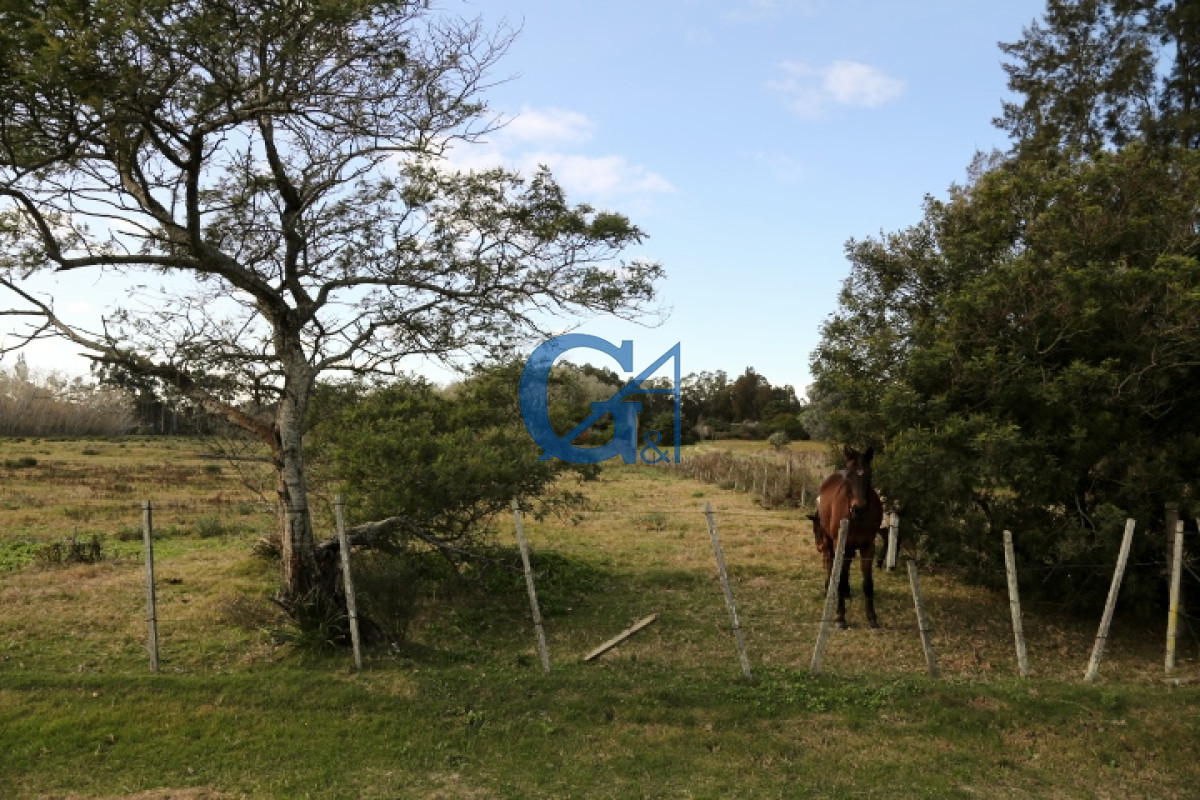 Chacra ID.2070 - 
